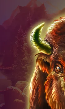 Buffalo Collection